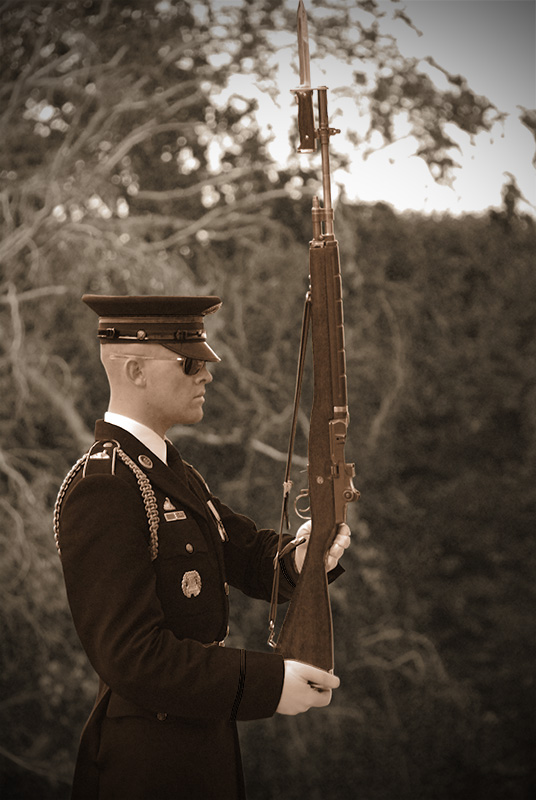 Honor Guard II